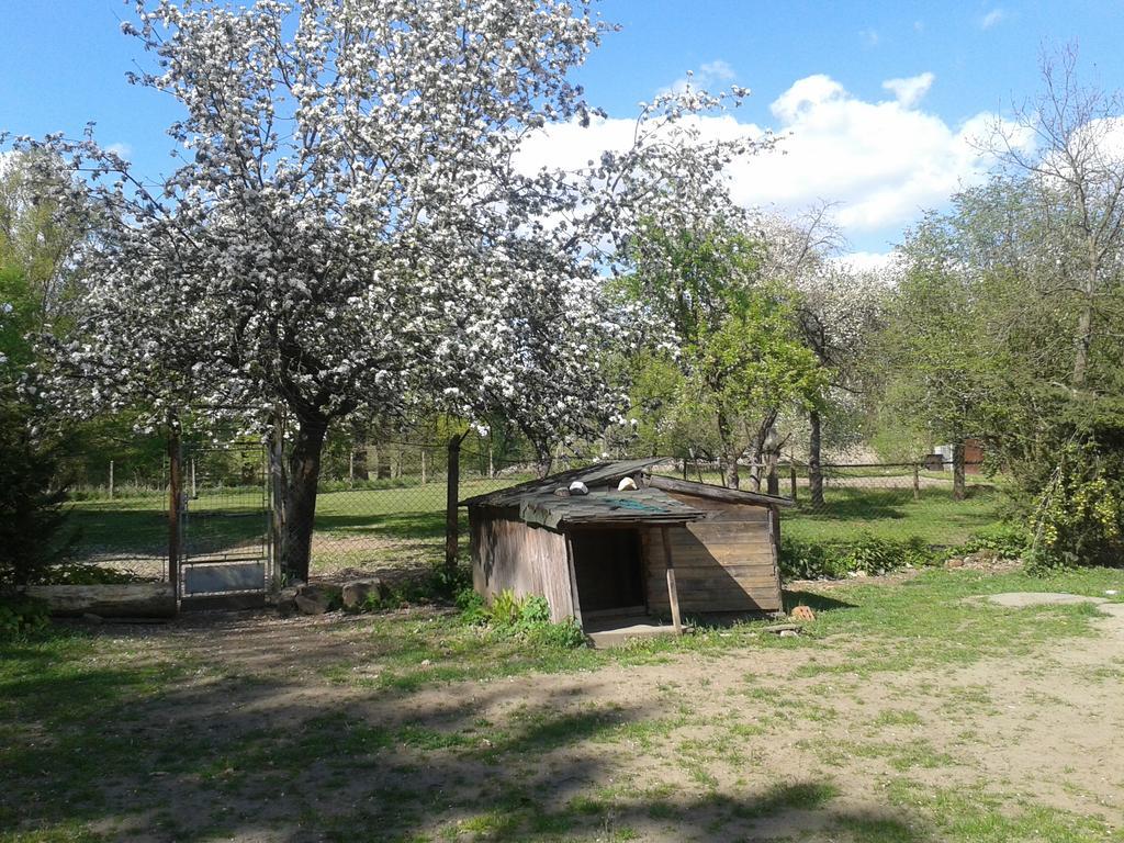 Chata Zahrada Madeta Veselí nad Lužnicí Extérieur photo