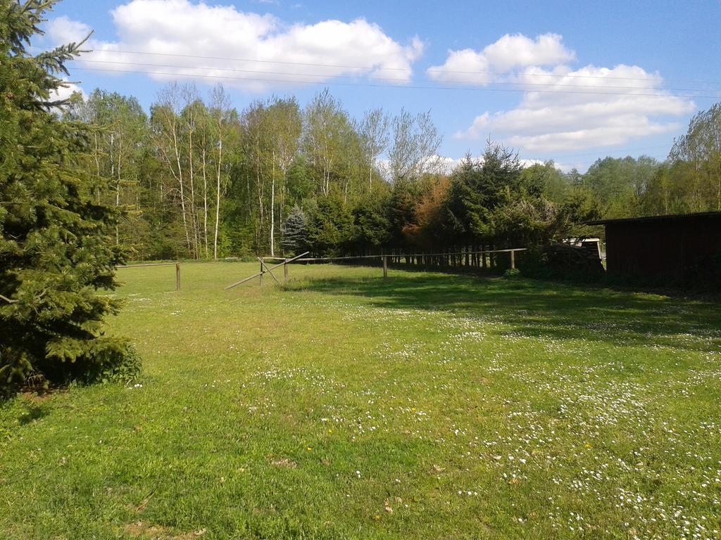 Chata Zahrada Madeta Veselí nad Lužnicí Extérieur photo