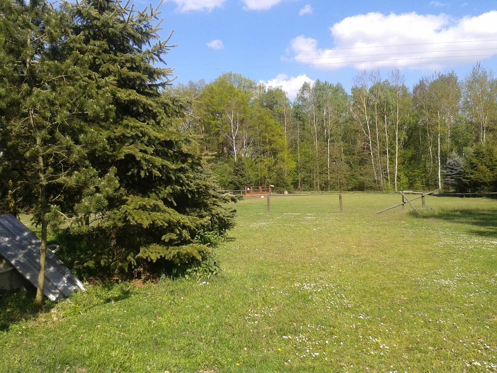 Chata Zahrada Madeta Veselí nad Lužnicí Extérieur photo