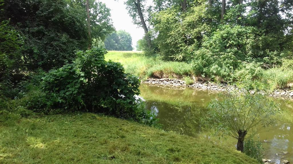 Chata Zahrada Madeta Veselí nad Lužnicí Extérieur photo